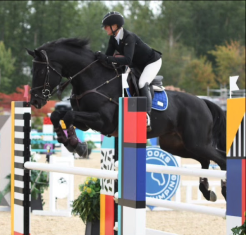 Screenshot 2024-05-23 at 12.00.53 PM